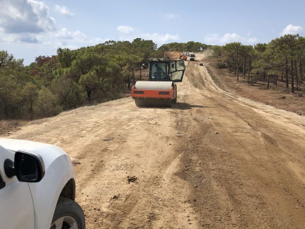 Cost of Driveway Grading in Summerfield