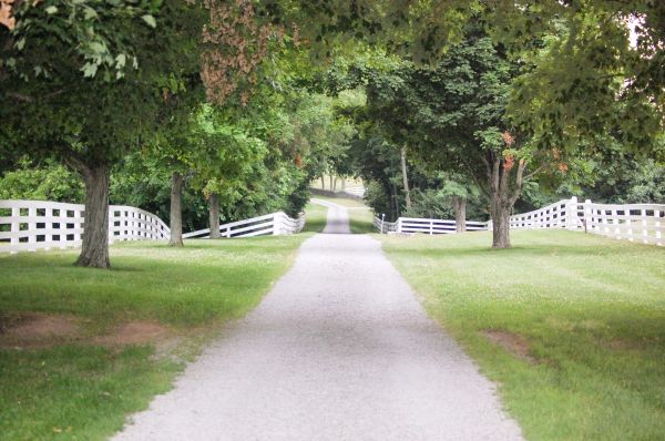 Cost of Gravel Road Installation in Summerfield