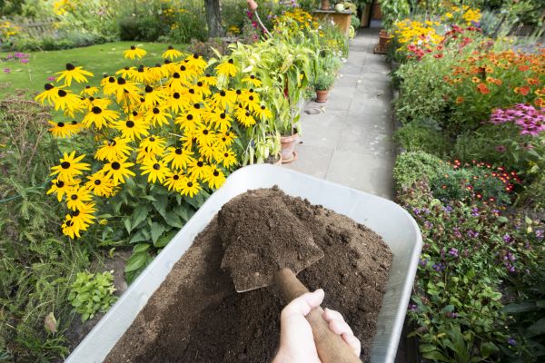 Cost of Topsoil Installation in Summerfield